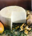 FORMAGGIO BOVINO